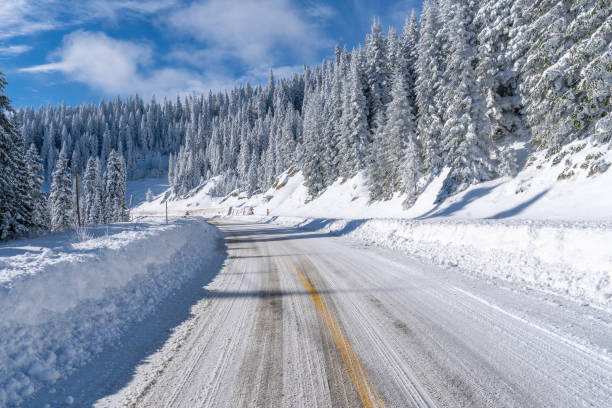istock An asphalt road and snow-covered pine trees on Mount Ilgaz 2188075986