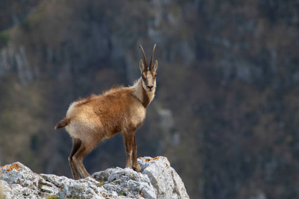 istock Roaming around the mountains of Abruzzo,  Italy 2188079208