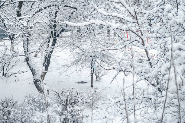 istock City courtyard is densely covered with snow. View from the window. 2188091808