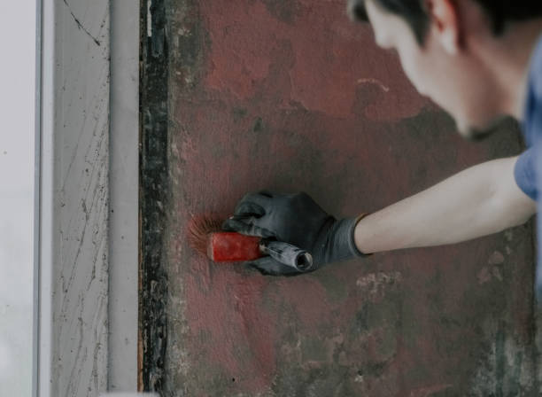 istock A young man applies red cement to a wall with a brush. 2188097989
