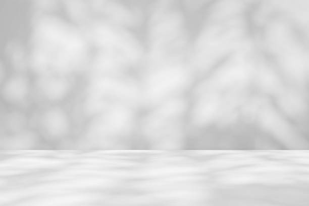istock Abstract white studio room with light and shadow from tree leaves background for product display presentation 2188112986