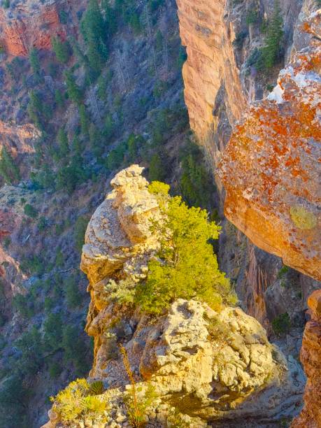 Elevated View Above Roaring Springs Canyon With Kaibab Limestone Ledges, Bright Angel Point Trail, North Rim, Grand Canyon National Park, Arizona, USA