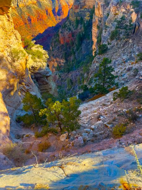 Mather Point on the South Rim