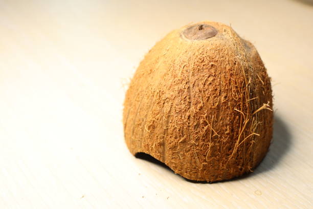 Closeup of a beautifully textured coconut shell, showcasing its natural fibers, unique shape, and characteristics