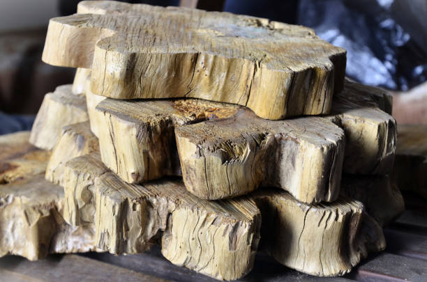 istock Slices of jabuticaba (Plinia cauliflora) trunk stacked 2188115896