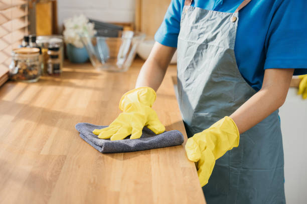 istock Housewife or maid in modern kitchen wipes dining table surface. Using professional cleaning products for home tidiness. Cleaner at work safety glove hygiene routine. Maid housekeeping concept. 2188129204