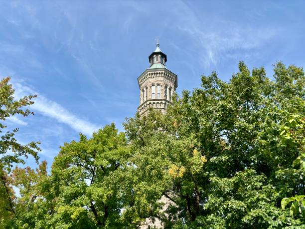 Historic Highbridge Water Tower hidden by trees under blue sky in New York, New York, United States