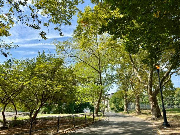 istock Scenic pathway winds through a lush, green park with tall trees 2188133873