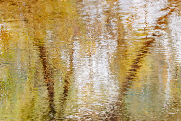 istock Abstract painterly photo of fall trees reflected in water 2188133906