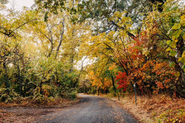 istock Colorful fall scene in Bidwell Park, Chico, CA 2188133917