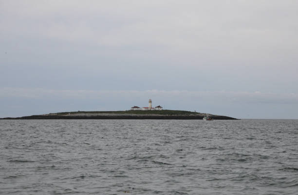 istock Machias Seal Island Lighthouse, Maine 2188135712