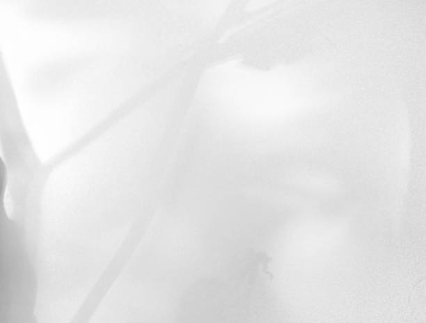 istock Wall grey shadow light summer background sunight overlay nature on room cement wall floor abstract blur muckup effect grey minimal platform for presentation product backdrop, wallpaper template. 2188138015