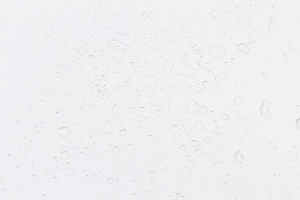 istock Closeup water drops on white background 2188138208