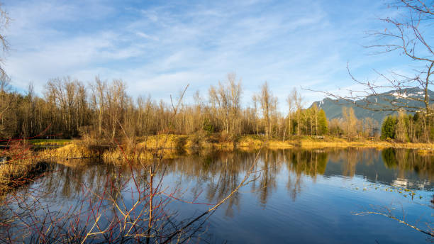 A tranquil nature reserve featuring diverse ecosystems in Chilliwack, BC, Canada