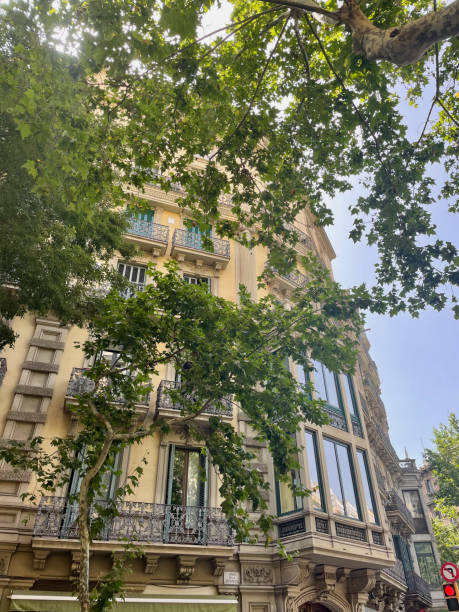 istock Charming Barcelona architecture viewed through lush green tree leaves on a sunny day 2188141057