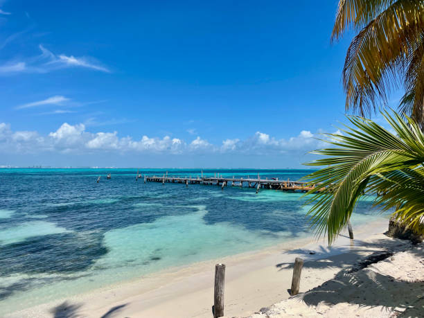 istock Idyllic beach with clear blue water and palm trees under sunny skies 2188141084