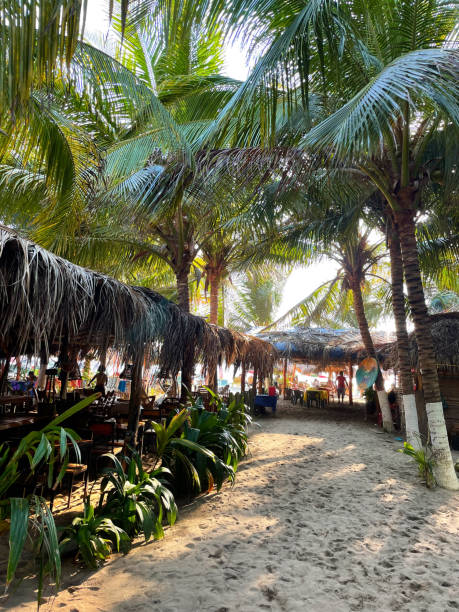 istock Rustic beach walkway under palm trees in Puerto Escondido during sunset 2188141121