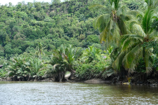 istock The lush banks of Brunei river 2188149930