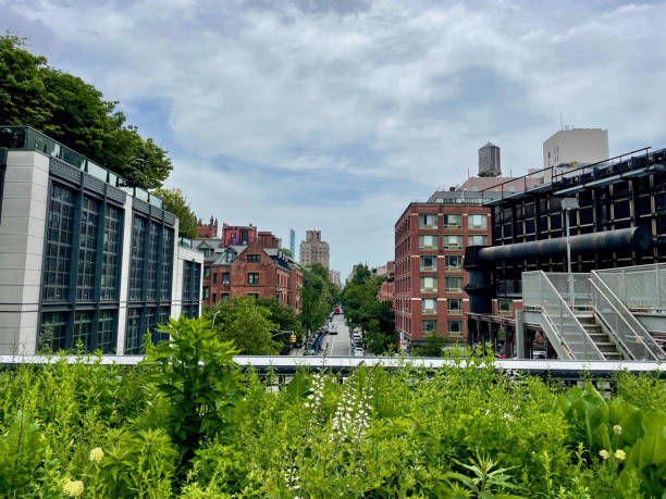 istock Lush greenery and urban architecture along New York's High Line park 2188154055