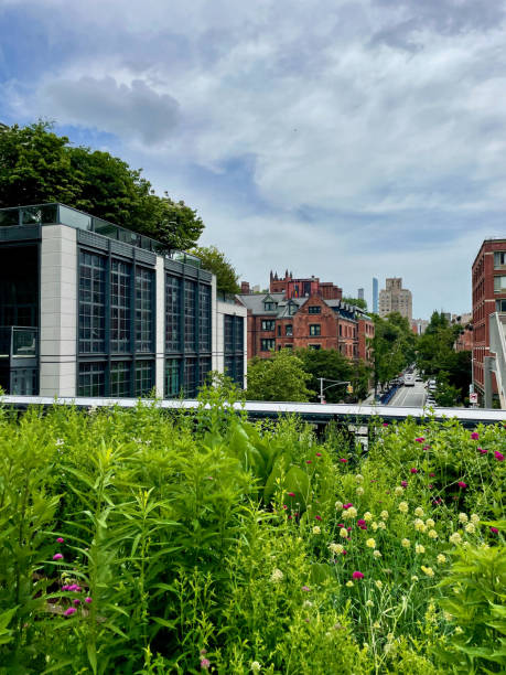 istock Greenery on New York's High Line with cityscape in the background 2188154059