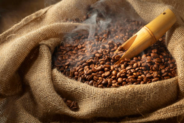 Fresh roasted coffee beans in burlap bag.