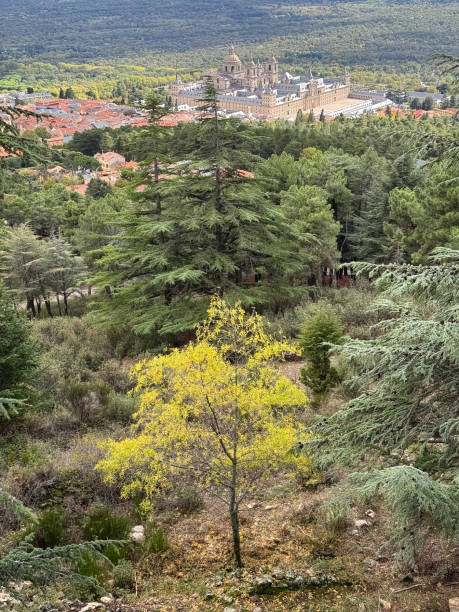 San Lorenzo de el Escorial, Spain - October 17, 2024: Royal Monastery of San Lorenzo de El Escorial, seen through the fog, from the Cruz Verde mountain pass in Madrid, Spain