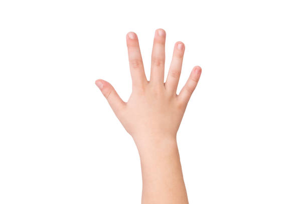 istock baby hand isolated on white background. Hand gesture 2188161128