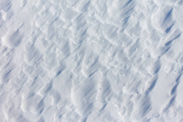 The snow is a bright white color and it covers the ground in a thick layer. The snow is so deep that it almost reaches the ground, creating a beautiful and serene winter landscape