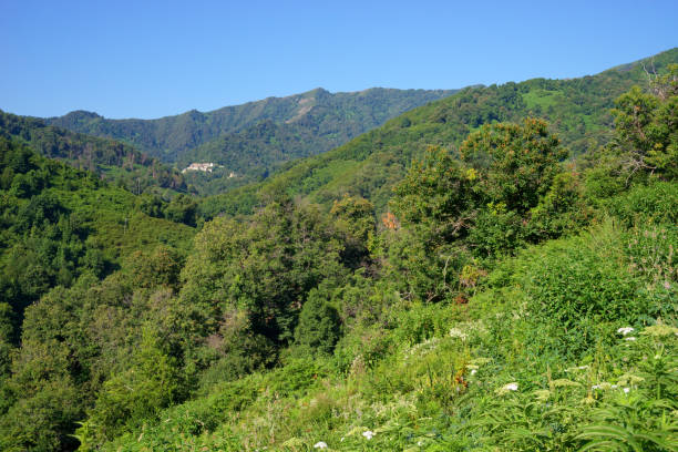 Santa-Reparata-di-Moriani village in Corsica mountain
