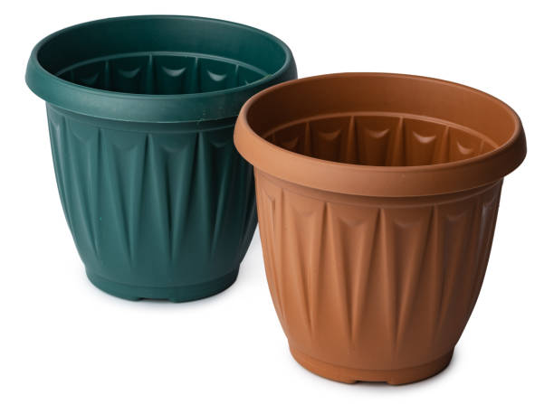 istock Flower pot for house plant isolated on white 2188164784