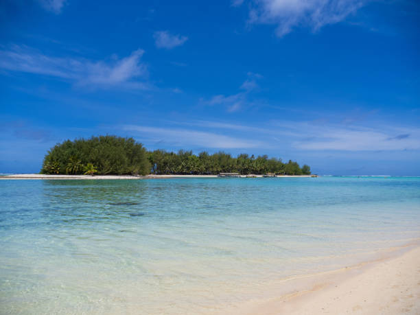 istock A trip to the Cook Islands 2188165702
