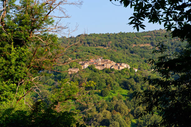 Talasani village and Chestnut forest in Tavagna mountain.  Corsica island