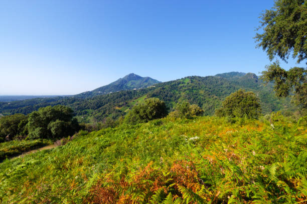 istock Costa verde mountain in Corsica island 2188166113