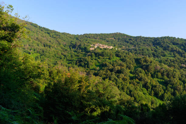 istock Talasani village and Chestnut forest 2188166208