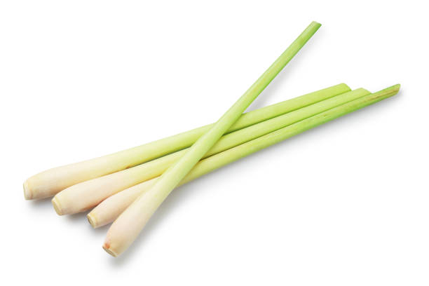 istock Fresh lemongrass stems or Cymbopogon grass stems isolated on white background. Clipping path. 2188168740