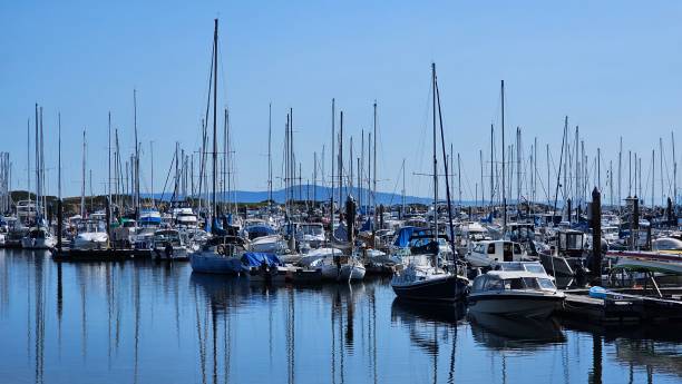 istock Serene marina with sailboats under clear sky 2188169705