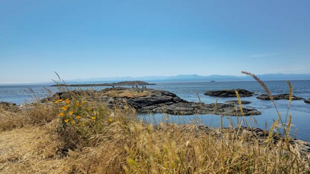 istock Scenic Coastal View with Wildflowers 2188169720
