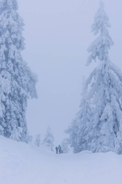 istock Extreme Cold Winter scene on Mauntain Ski Area 2188173614