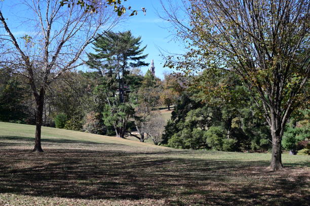 Public park in Richmond, Virginia during Fall/Autumn.