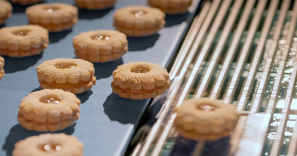 istock Jam filled cookies being moved from one conveyor belt to another on conveyor belt 2188182130