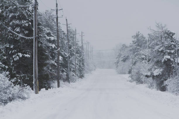 istock Lonely country road covered in fresh snow. 2188182270