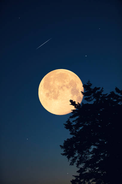 istock Full Moon, stars, planets and landscape scenery silhouettes. 2188183229