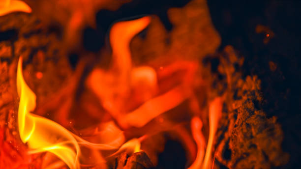 istock Vivid Orange Blaze in Close-Up 2188183485