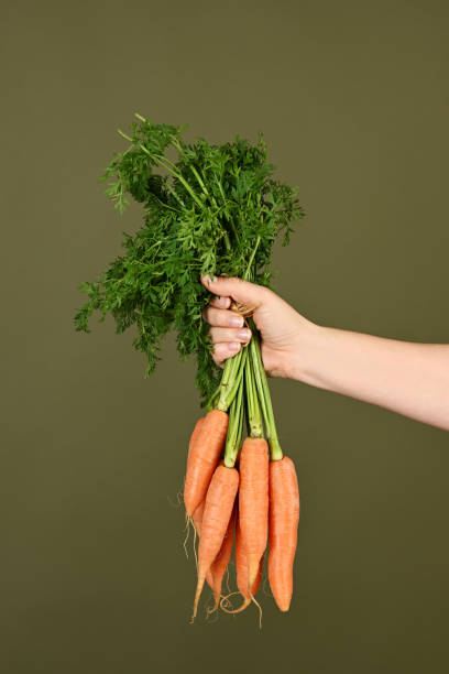 istock Female hand with fresh bunch of carrots 2188183578