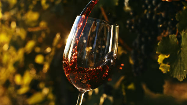 istock Sunset Red Wine Pouring Moment 2188183956