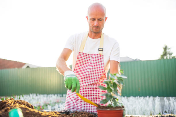 istock Gardener planting herbs in garden center using small shovel 2188185972