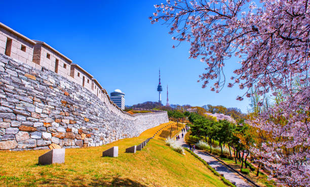 Beauty of spring Namsan mountain in spring, Seoul South Korea. aerial view of seoul south korea capital city stock pictures, royalty-free photos & images