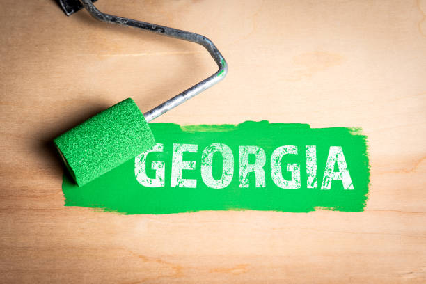 istock Georgia. Green paint and paint roller on a wooden texture background 2188187804