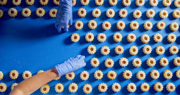 Cookie Arrangement on Conveyor with Gloved Hand