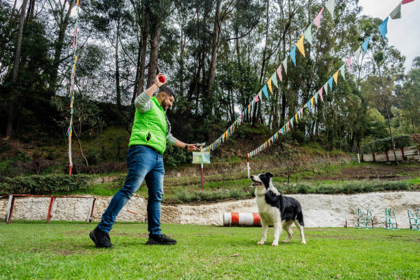 Three dogs are outdoors in a field with their female owners. The dog are sitting and the women are kneeling to touch the dogs. They all look happy.